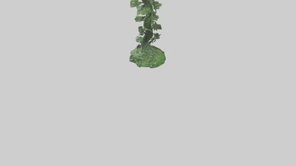 Spiraling Foliage statue model 3D model