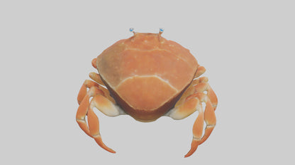 Spiraling Foliage statue model 3D model