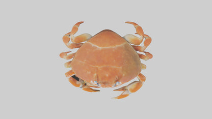 Spiraling Foliage statue model 3D model