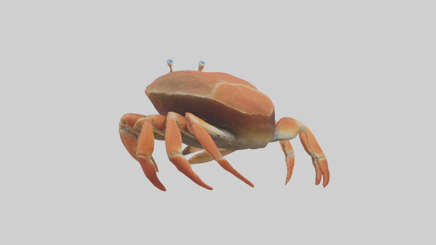 Spiraling Foliage statue model 3D model