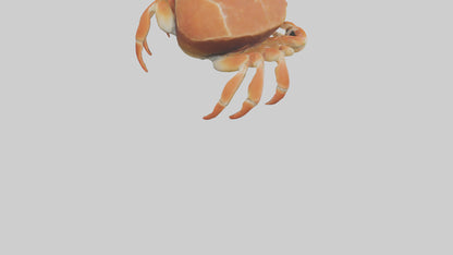 Spiraling Foliage statue model 3D model