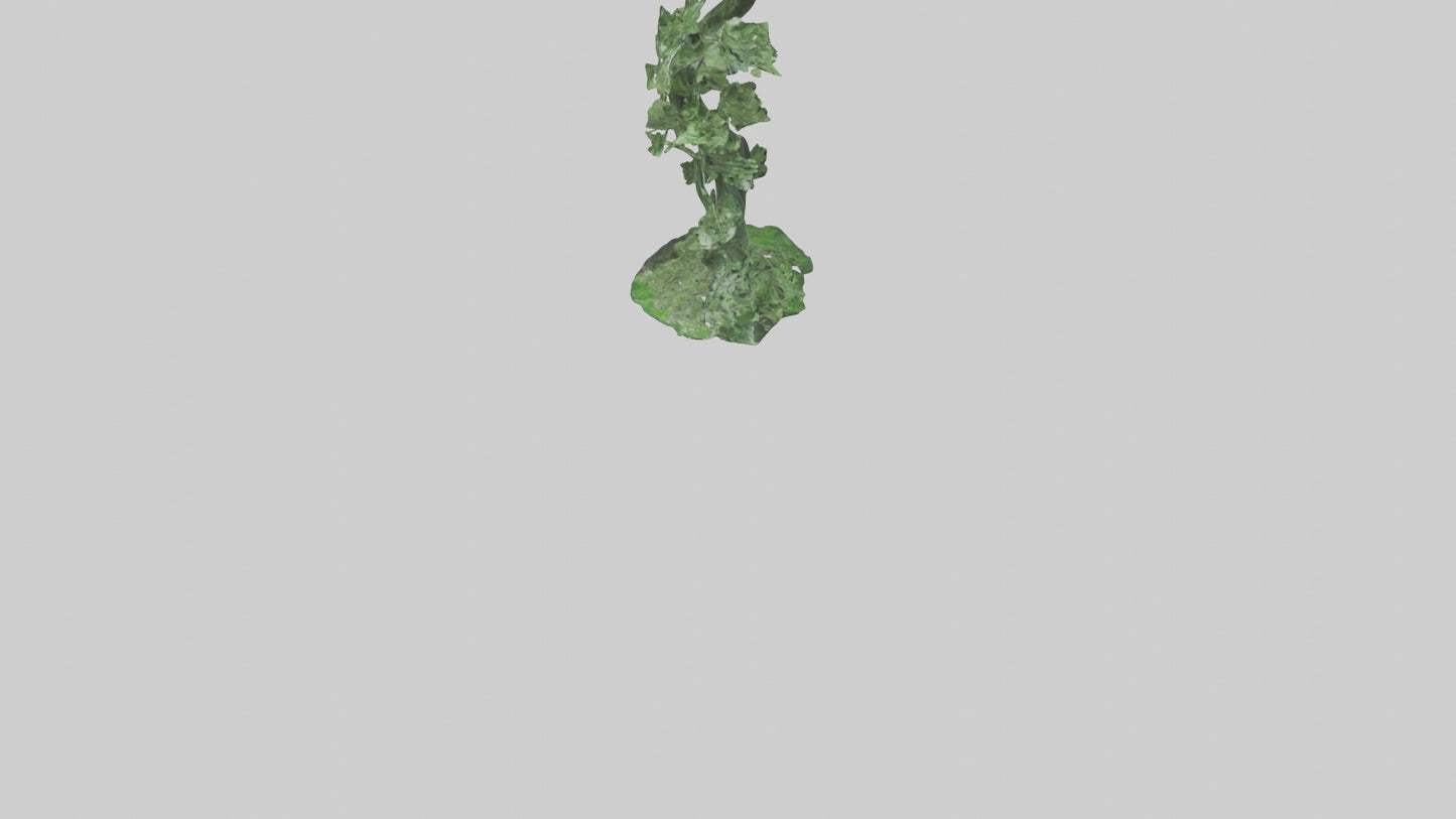 Spiraling Foliage statue model 3D model