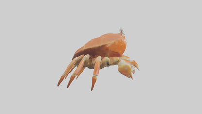 Spiraling Foliage statue model 3D model