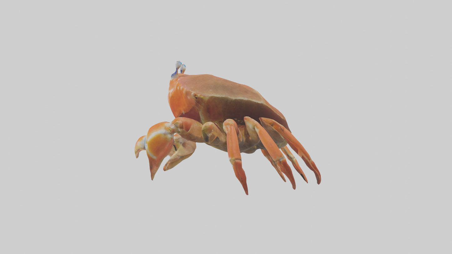 Spiraling Foliage statue model 3D model