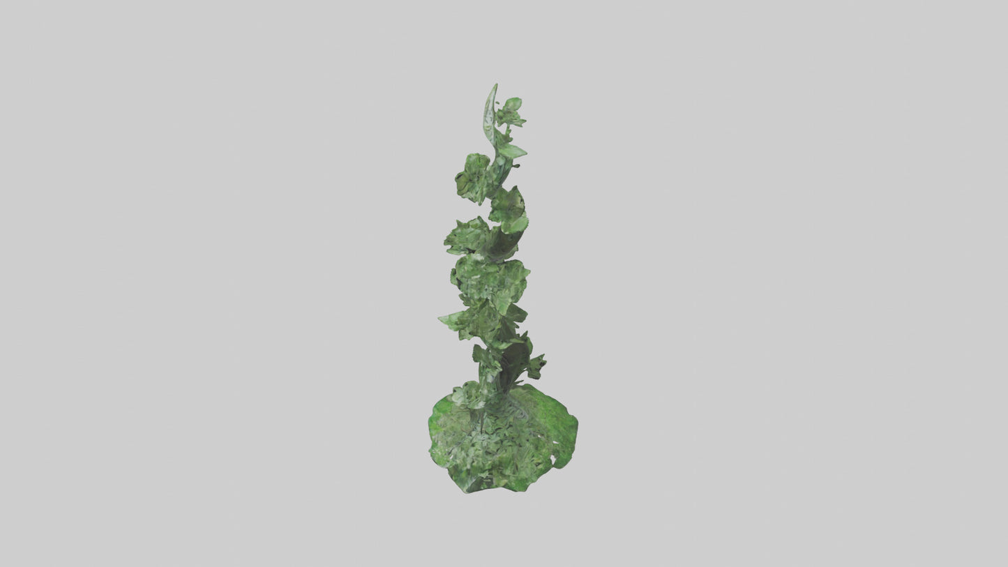 Spiraling Foliage statue model 3D model