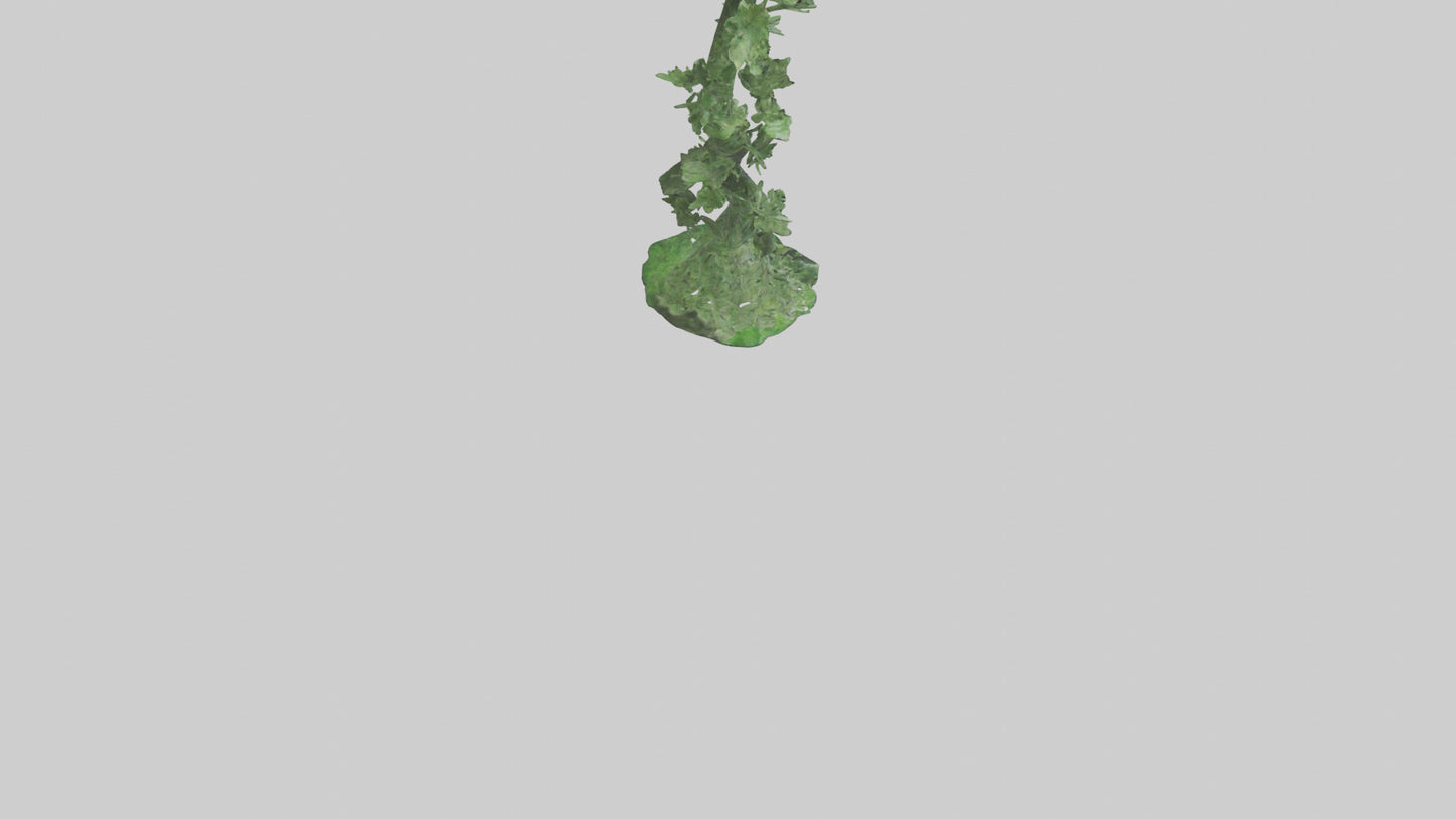 Spiraling Foliage statue model 3D model