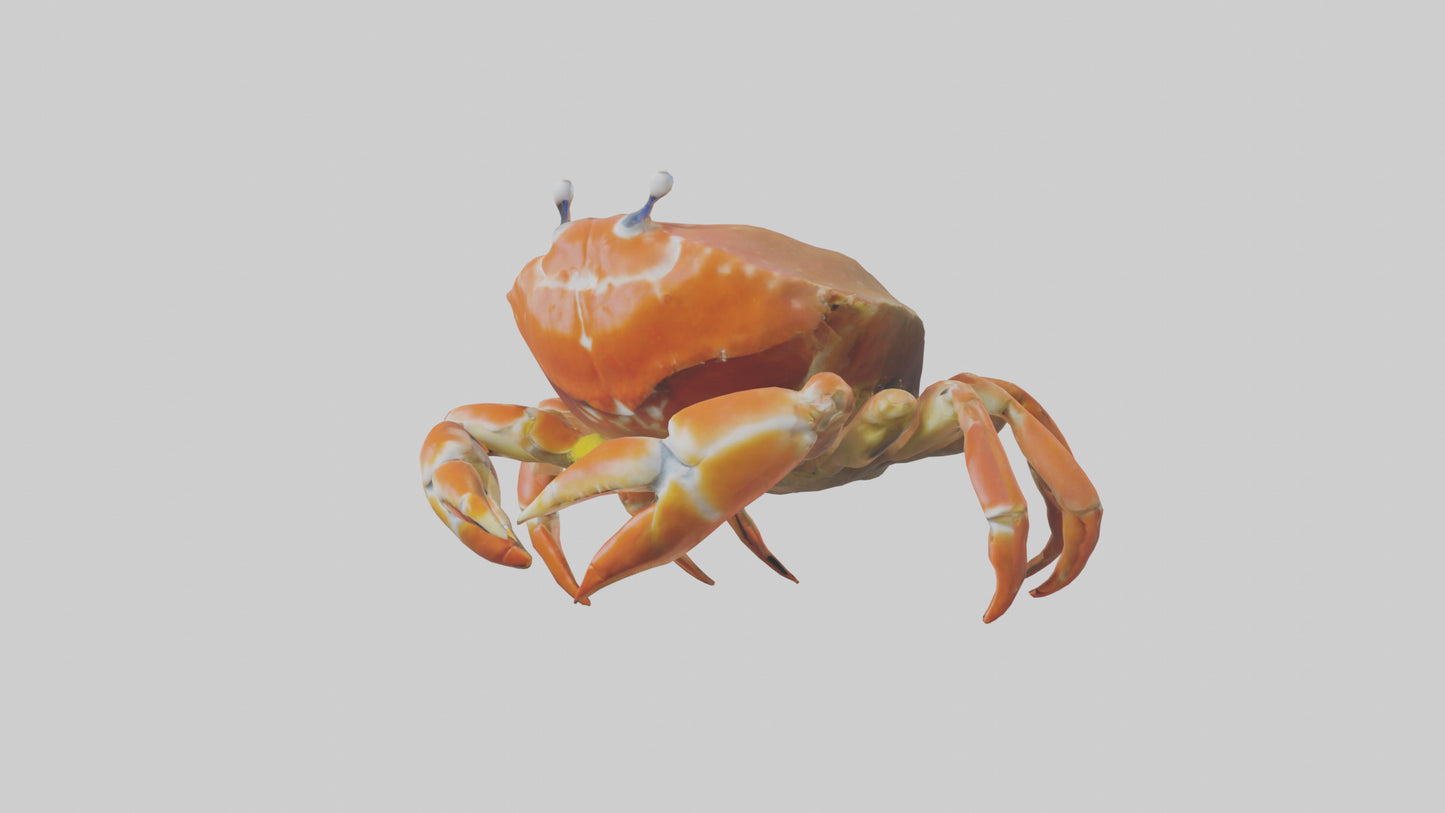 Spiraling Foliage statue model 3D model