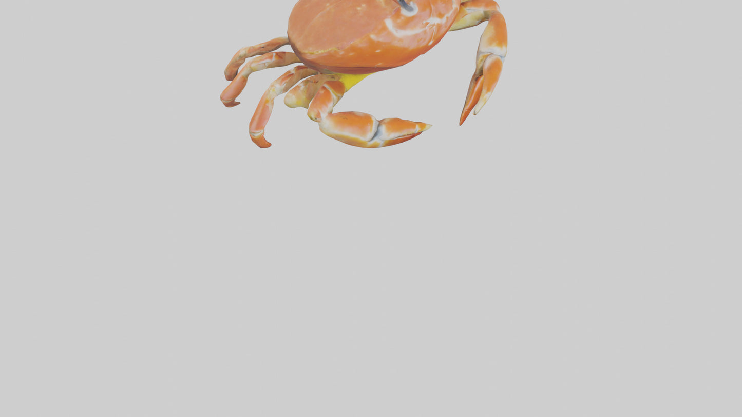 Spiraling Foliage statue model 3D model