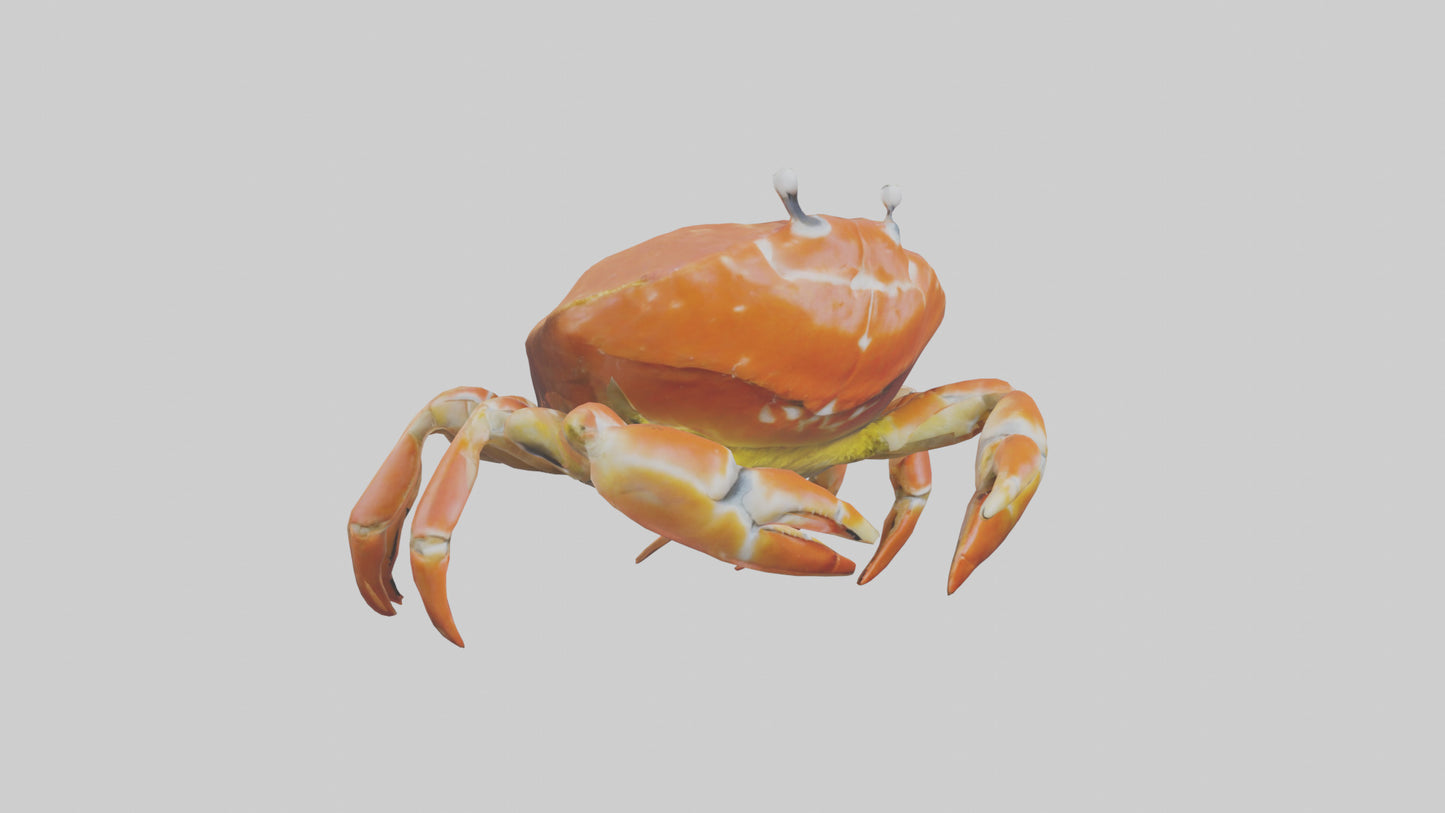 Spiraling Foliage statue model 3D model