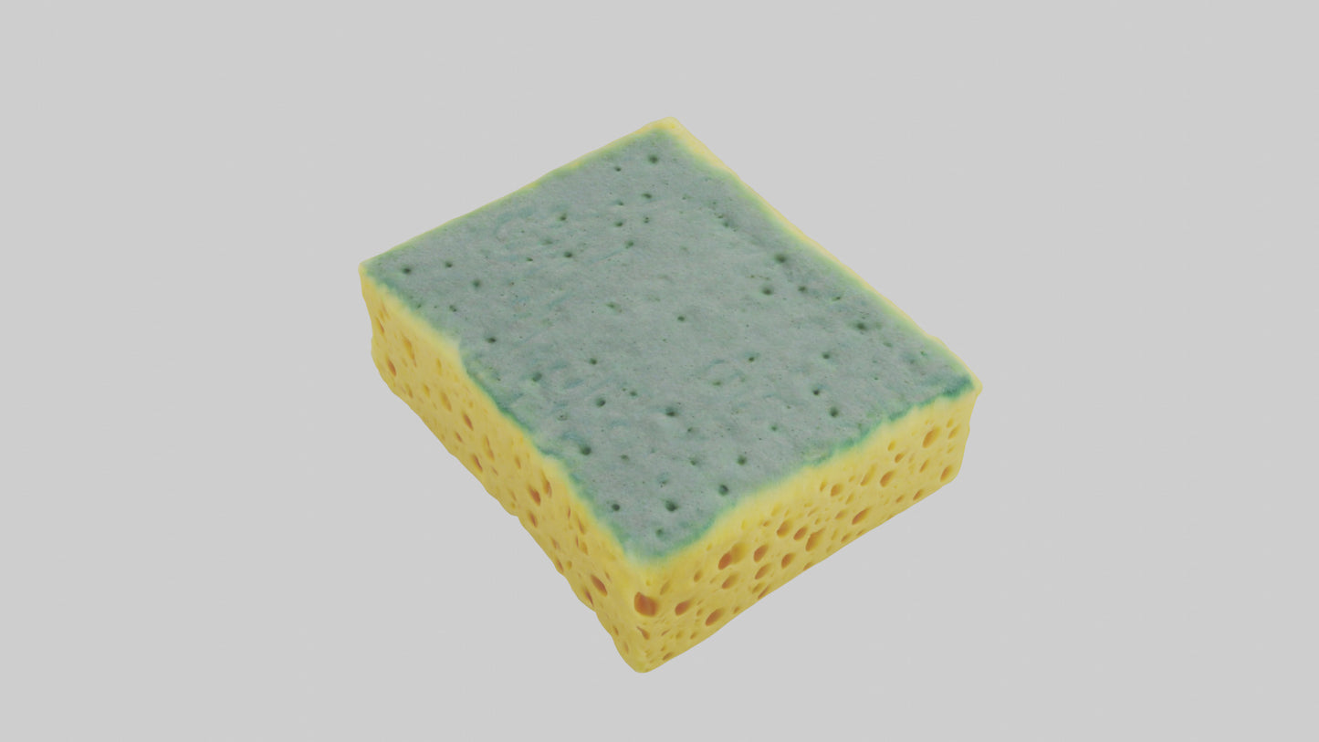 Sponge model 3D model