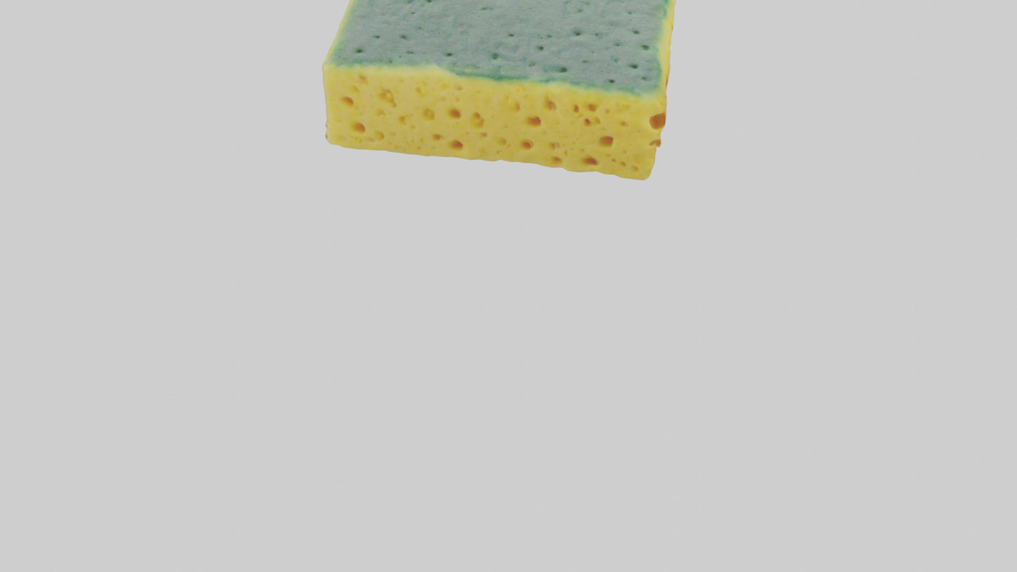 Sponge model 3D model