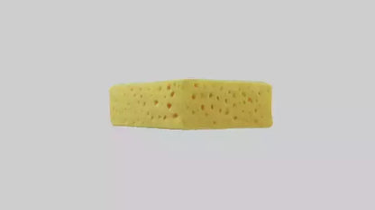 Sponge model 3D model