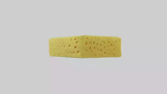 Sponge model 3D model
