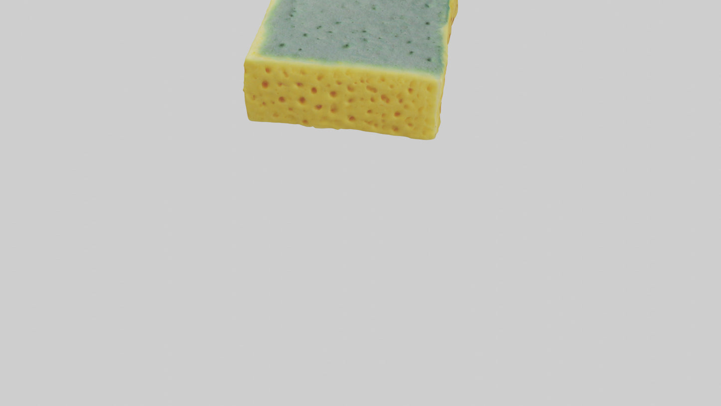 Sponge model 3D model