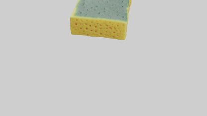 Sponge model 3D model