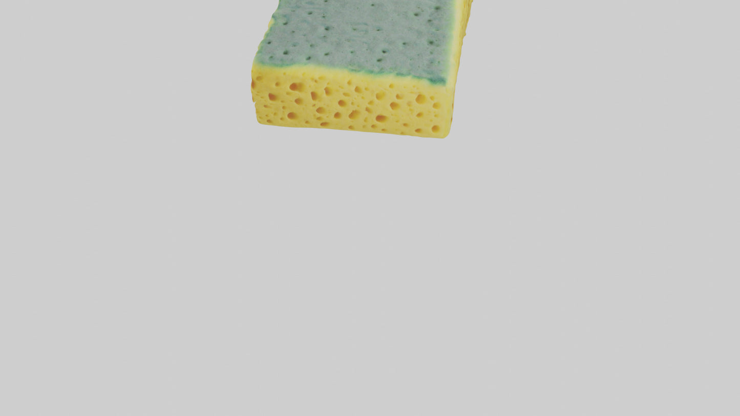 Sponge model 3D model