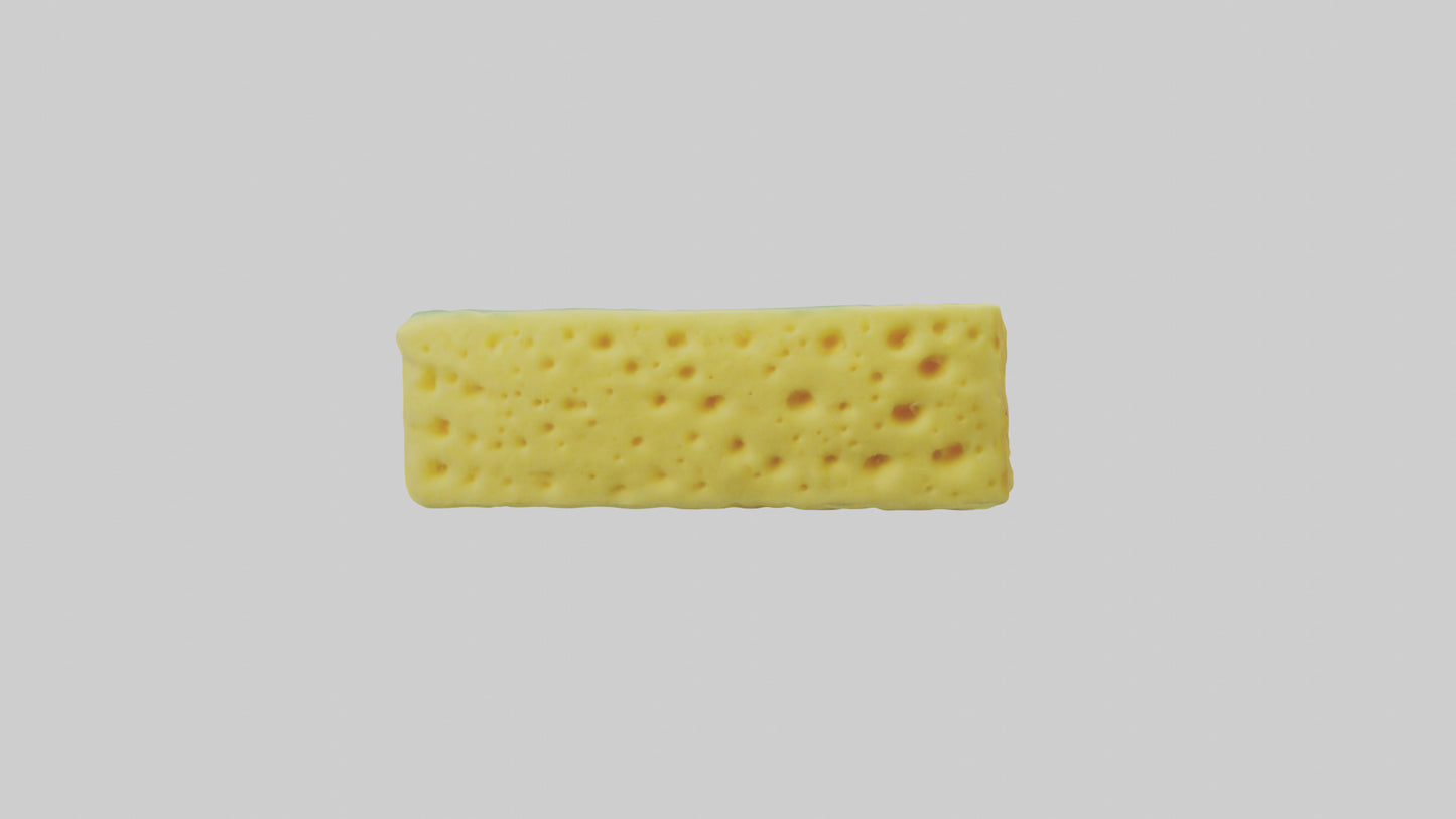 Sponge model 3D model
