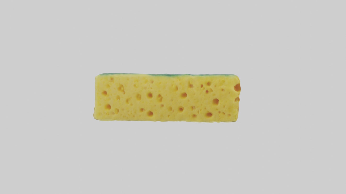 Sponge model 3D model