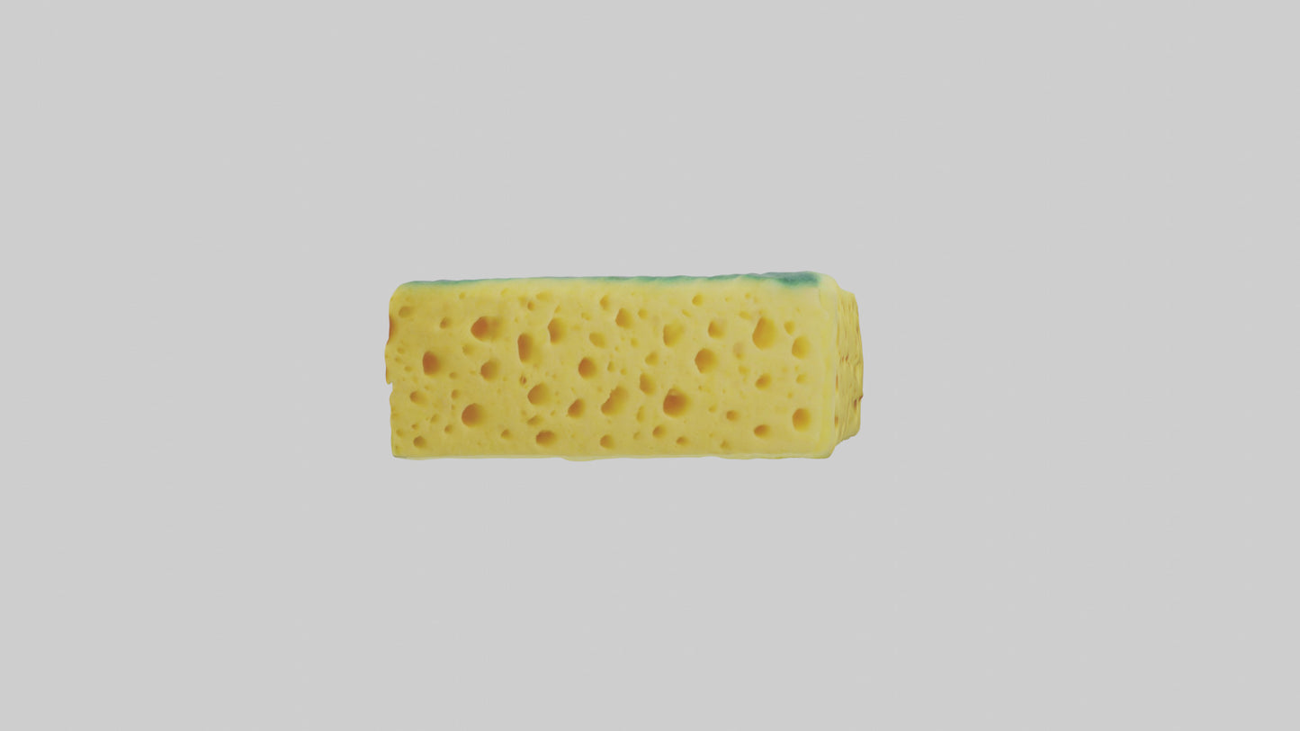 Sponge model 3D model