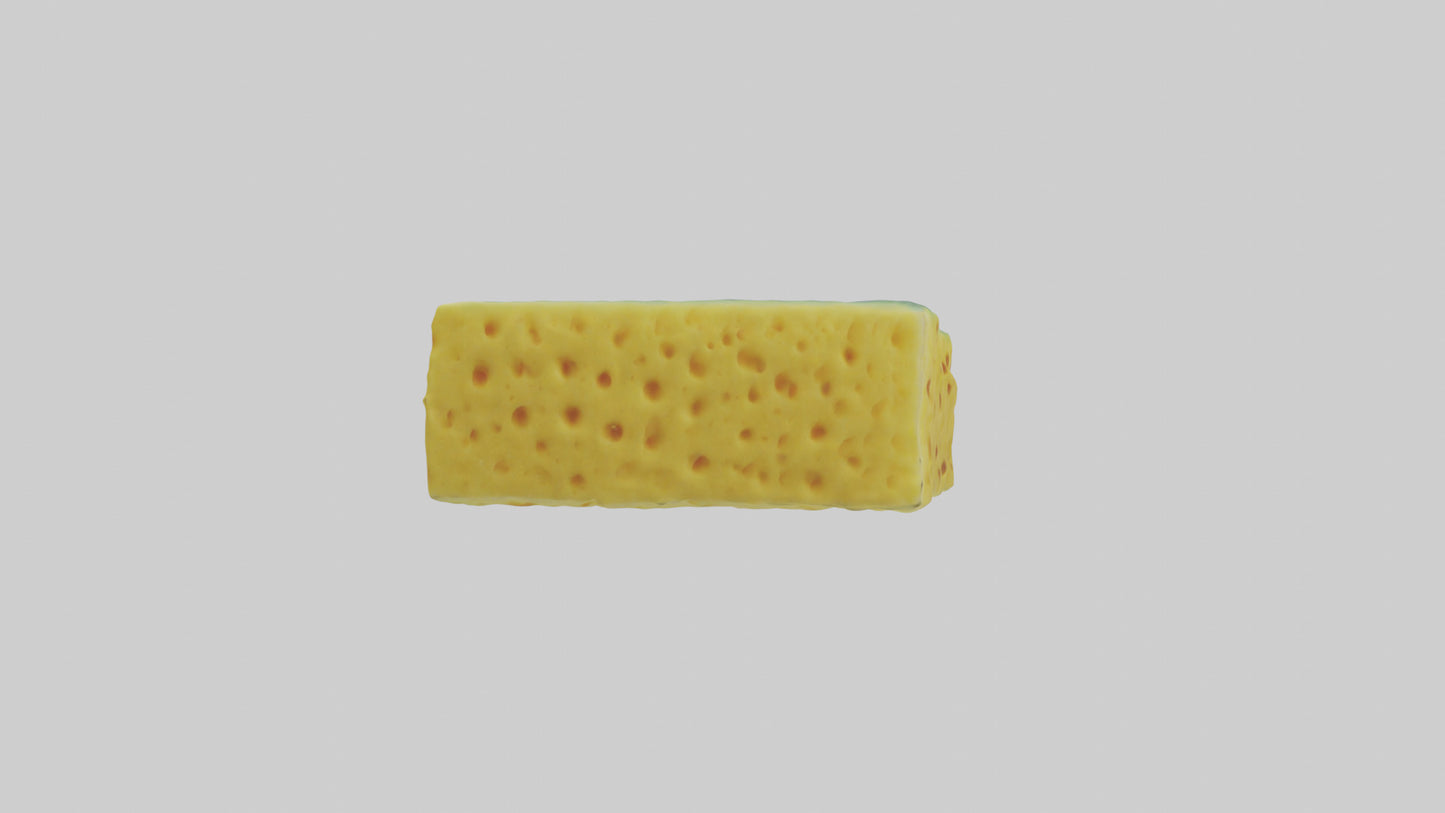 Sponge model 3D model