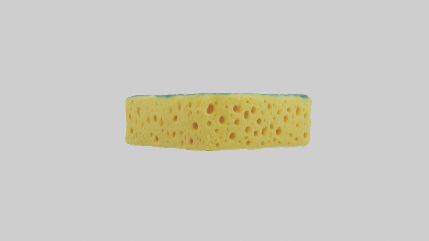 Sponge model 3D model