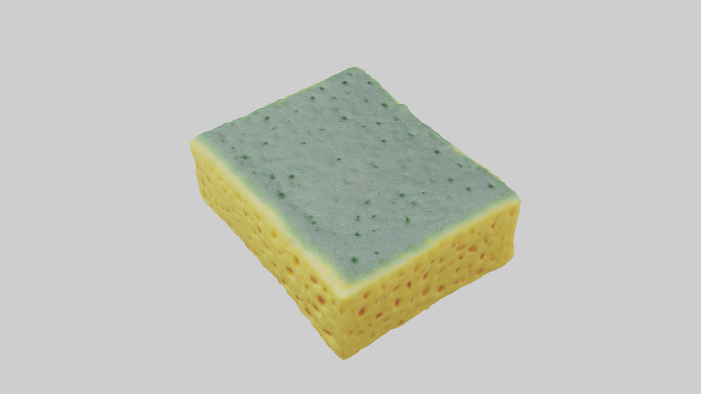 Sponge model 3D model