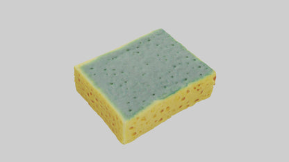 Sponge model 3D model