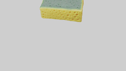 Sponge model 3D model