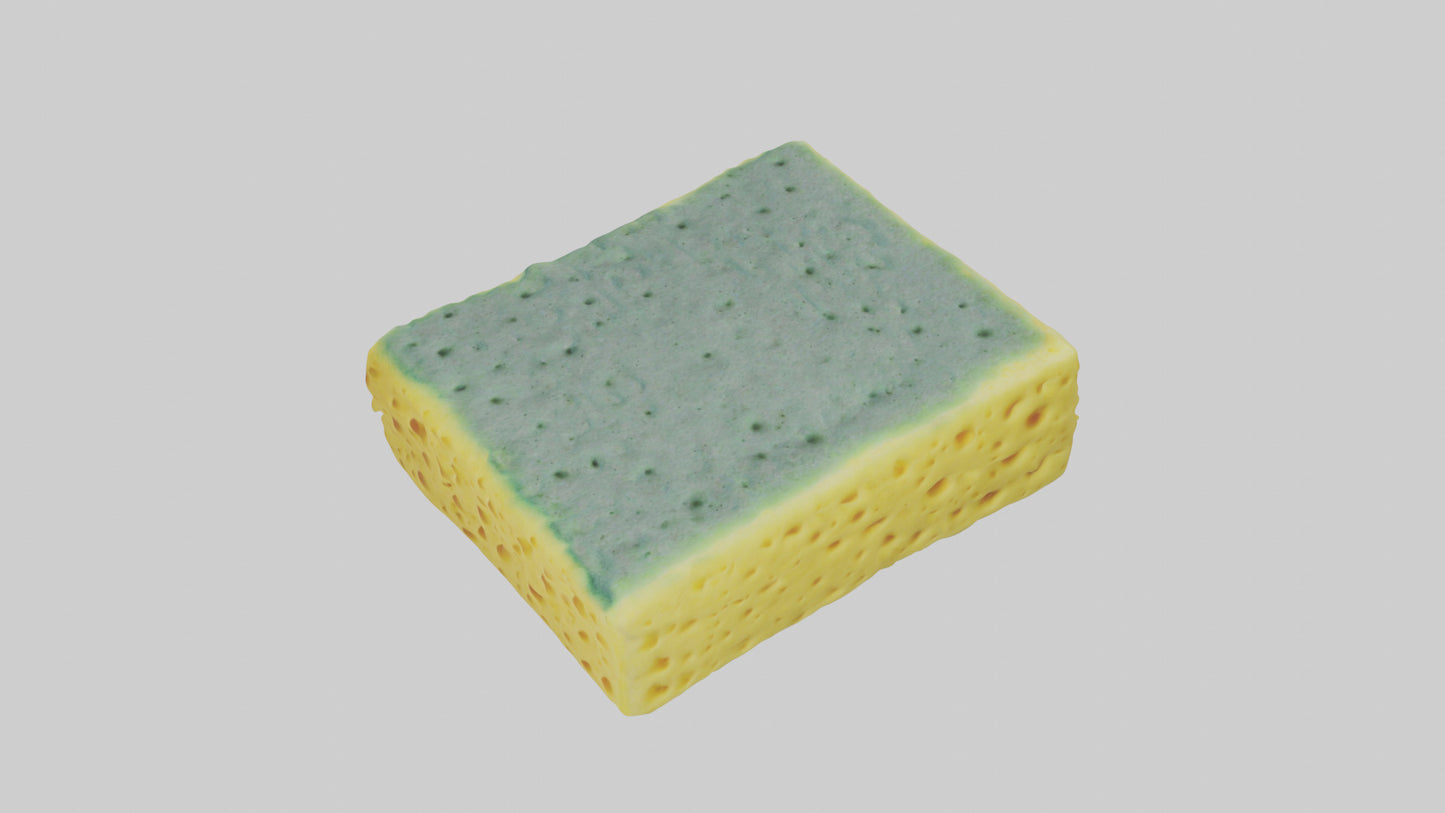 Sponge model 3D model