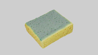 Sponge model 3D model