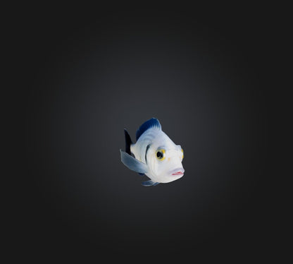3D model Spottail pinfish VR / AR / low-poly