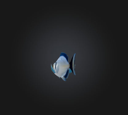 3D model Spottail pinfish VR / AR / low-poly