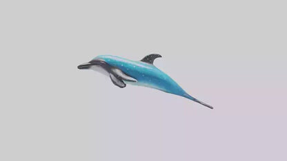 Spotted Dolphin statue model 3D model