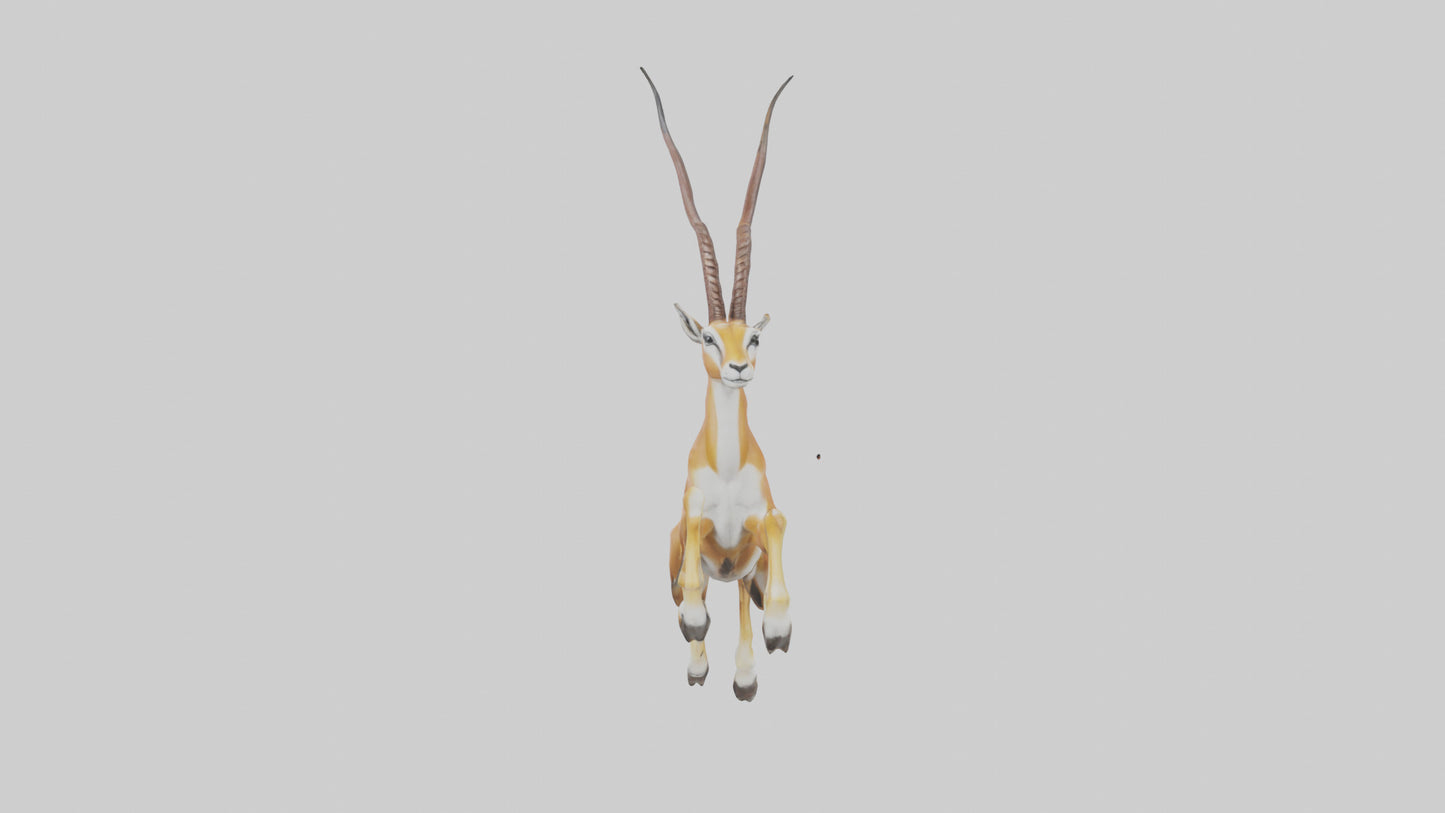 Springbok hopping model 3D model