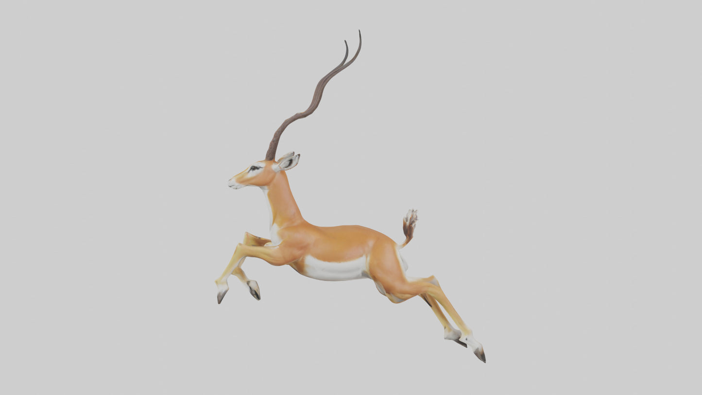 Springbok hopping model 3D model