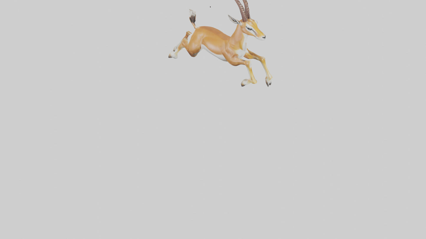 Springbok hopping model 3D model