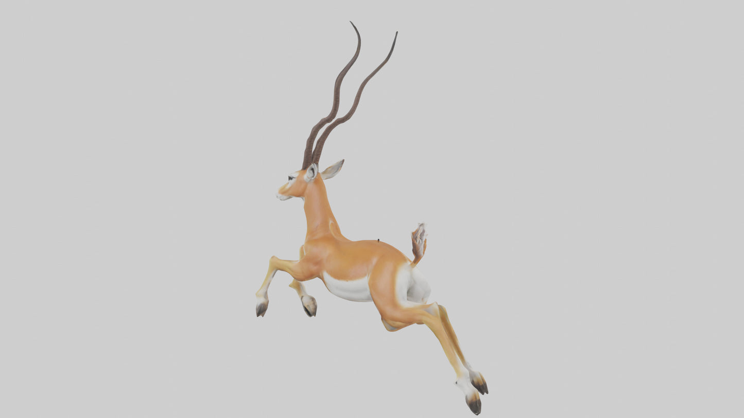 Springbok hopping model 3D model