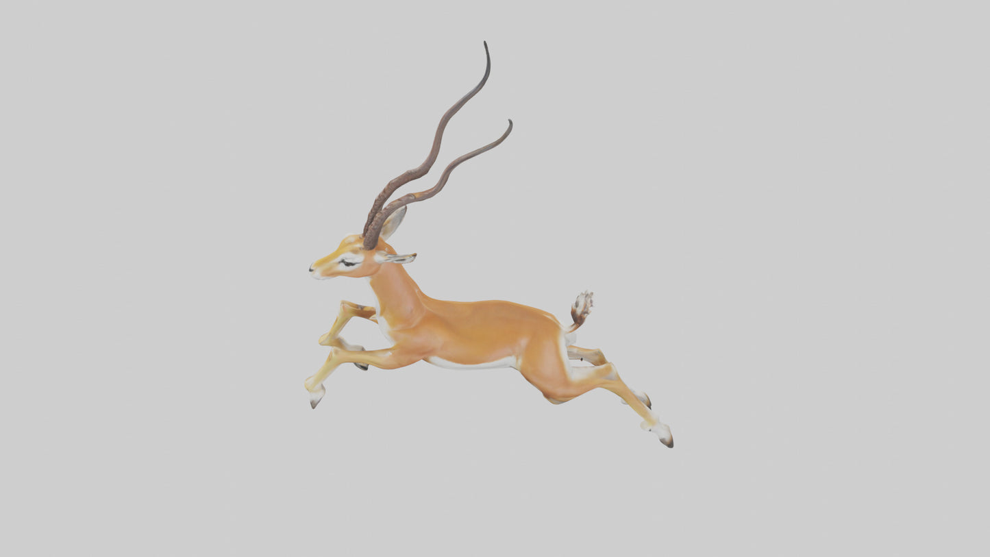 Springbok hopping model 3D model
