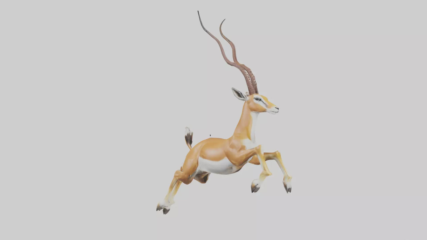 Springbok hopping model 3D model