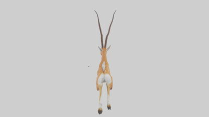 Springbok hopping model 3D model