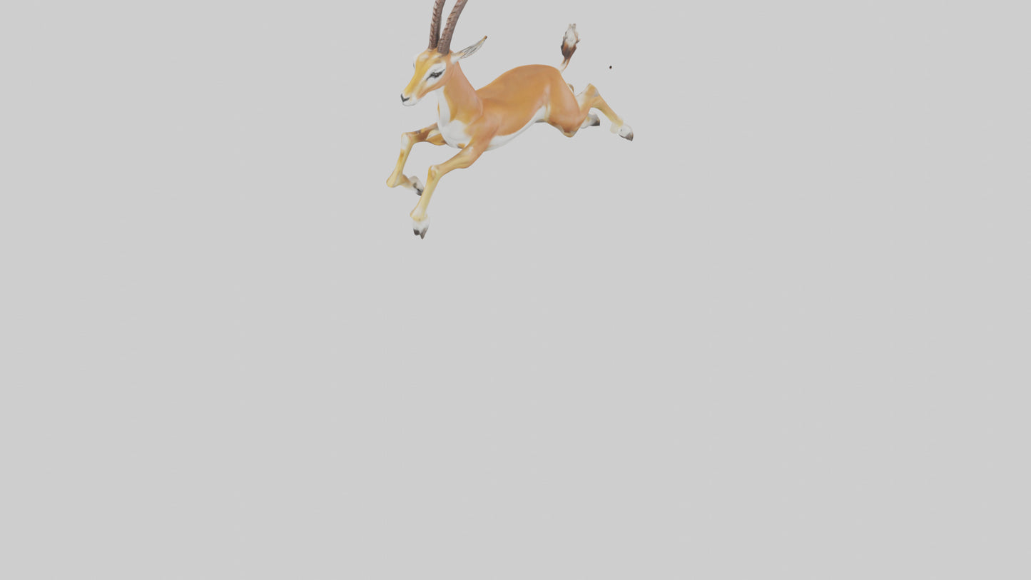 Springbok hopping model 3D model