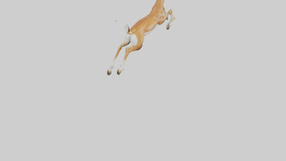 Springbok hopping model 3D model