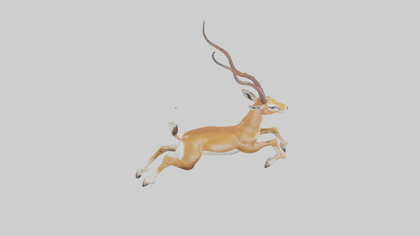 Springbok hopping model 3D model