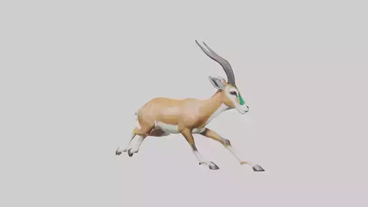 Springbok running model 3D model