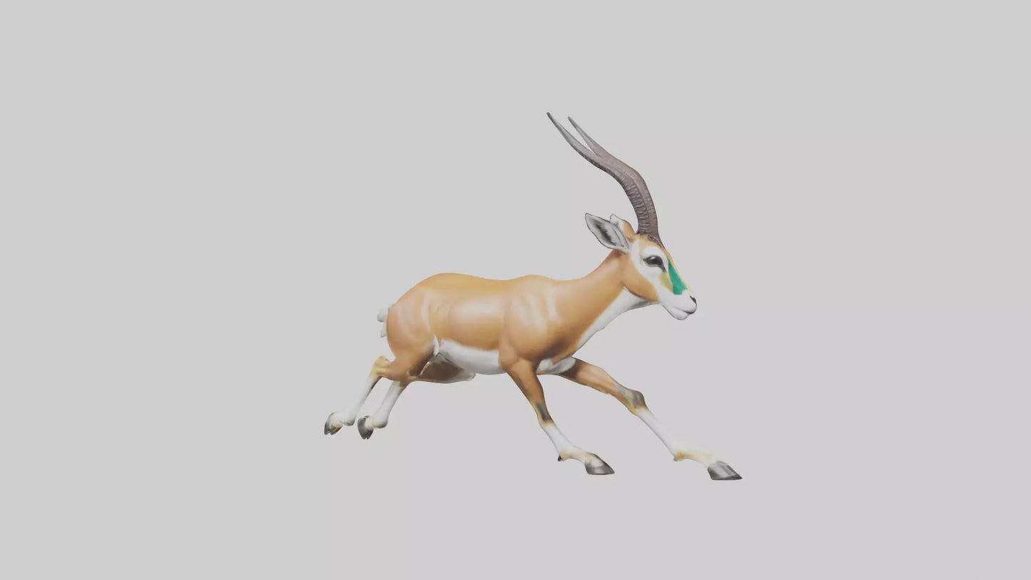 Springbok running model 3D model