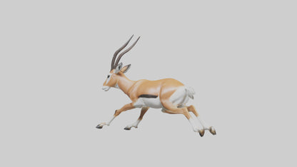 Springbok running model 3D model