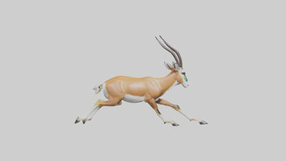 Springbok running model 3D model