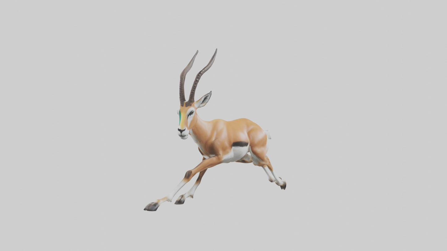 Springbok running model 3D model