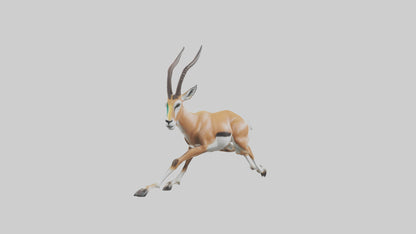 Springbok running model 3D model