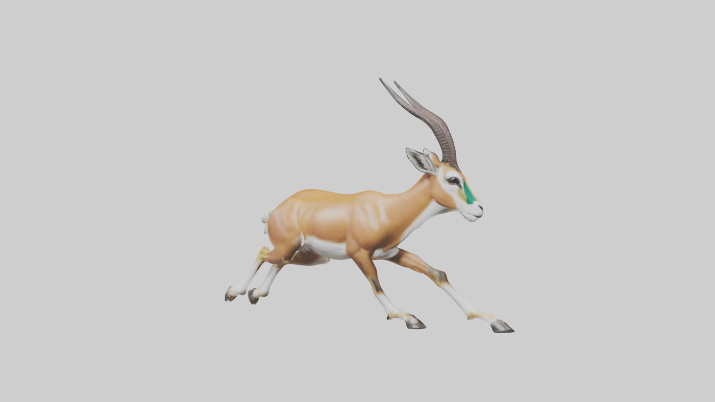 Springbok running model 3D model